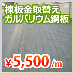 棟板金取替え
ガルバリウム鋼板