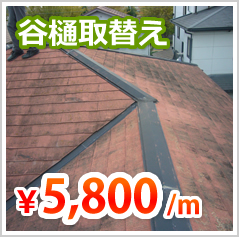 谷樋取替え