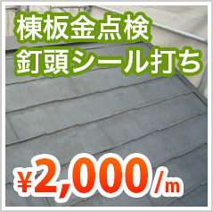 棟板金点検
釘頭シール打ち