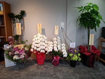 5月26日 事務所オープンいたしました!